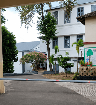 Environmental Audit